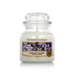 Yankee Candle Classic Small Jar Candles Scented Candle Midnight Jasmine 10 4 g