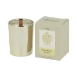 Tiziana Terenzi Andromeda l&otilde;hnav k&uuml;&uuml;nal kuldse klaasi sees Tiziana Terenzi Andromeda Scented Candle in Gold Glass 40 g