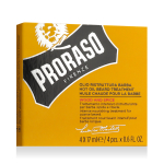 Proraso Wood and Spice Hot Beard Treatment Oil 4 x