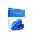 MS Windows 11 Pro 64-Bit 1PK DE