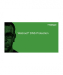 Webroot DNS Protection with GSM Console, 2 year(s), License quantity 1-9 user(s)