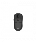 M&auml;nguhiir GENESIS Zircon 660 PRO, 12000DPI, Wireless, Black