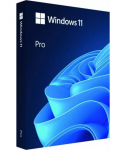 Microsoft, Windows 11 Pro, HAV-00163, English, FPP, USB, 64-bit