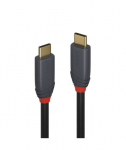 Lindy USB 3.2 Type‑C Kaabel 1m 36976