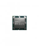 AMD Ryzen 7 7800X3D Tray