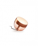 Philips Hue Hue Iris Portable Lamp, Copper Special Edition Copper/brass Portable lamp