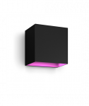 Philips Hue WCA Resonate Outdoor Downward Wall Lantern, Black | 8 W | 2000-6500 Hue White Colour Ambiance