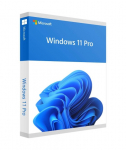 MS Windows 11 Pro 64-Bit 1PK UK