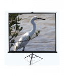 Elite Screens Tripod Series T120UWV1 Diagonal 120", 4:3, Viewable screen width (W) 244 cm, Black