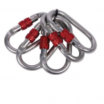 CAMP Oval Standard Lock 5 set karabiin
