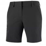 SALOMON Wayfarer Shorts W black 40