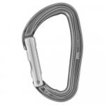 PETZL Djinn Straight gray karabiin