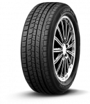 ROADSTONE Eurovis Alpine WH1 205/55R16 91T