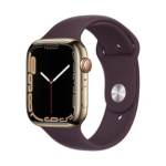 Apple Watch Series 7 45mm GPS + Cellular Stainless Steel Case Gold Klass B (Hea)
