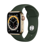 Apple Watch Series 6 44mm GPS + Cellular Stainless Steel case Gold Klass B (Hea)