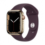 Apple Watch Series 7 41mm GPS + Cellular Stainless Steel Case Gold Klass B (Hea)