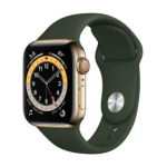 Apple Watch Series 6 44mm GPS + Cellular Stainless Steel case Gold Klass B (Hea)