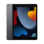 Apple iPad 10.2" 9th Gen (2021) WiFi 256gb Grey Klass A (V&auml;ga hea)