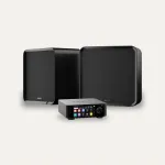 Eversolo Play + Eversolo SE100 Streaming System