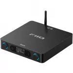 FiiO BR15 R2R
