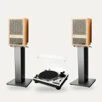 Vestlyd Vinyl Setup: Pro T1 + M6C Active + M-Stands