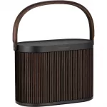 Bang & Olufsen Beosound A5
