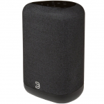 Bluesound Pulse Flex (2025)