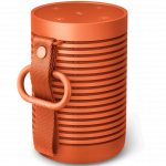 Bang & Olufsen Beosound Explore