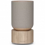 Bang & Olufsen Beosound Balance