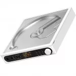 FiiO DM15 R2R