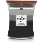 Woodwick Trilogy Warm Woods l&otilde;hnak&uuml;&uuml;nal, 275 g