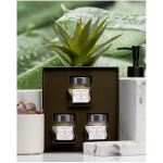 La Sultane de Saba Aloe Vera N&auml;ohoolduskomplekt N&auml;ohoolduskomplekt: kreem, koorimine, mask