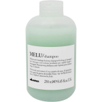 Davines Melu &scaron;ampoon&scaron;ampoon kahjustatud juustele, 250 ml