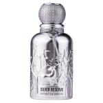 Auraa Desire Silver Reserve PP parf&uuml;&uuml;m meestele, 100 ml