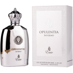 Emir Opulentia Inverno EDP l&otilde;hnastatud vesi meestele, 100 ml