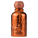 Auraa Desire Rusty Island PP parf&uuml;&uuml;m meestele, 100 ml