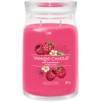 Yankee Candle punase vaarika l&otilde;hnaga k&uuml;&uuml;nal, 567 g