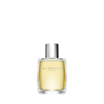 Burberry For Men EDT tualettvesi meestele, 100 ml