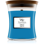 Woodwick Tempesti l&otilde;hnak&uuml;&uuml;nal, 275 g