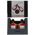 Consumer Kit E Set Depot: 100 Hair Cleansing No. 103 Pro-Vitamin B5 Hair Shampoo For Hydration, 250 ml + 200 Hair Treatments No. 201 Botanical Complex Hair Conditioner For Revitalizing, 250 ml