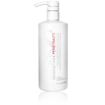 Sebastian Professional Penetraitt Masque taastav mask kahjustatud juustele, 500 ml