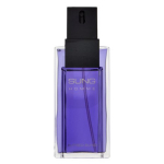 Alfred Sung Sung Homme EDT tualettvesi meestele, 100 ml
