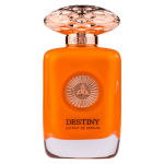 Auraa Desire Destiny PP parf&uuml;&uuml;m meestele, 100 ml