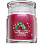 Yankee Candle s&auml;delev talvemarja l&otilde;hnak&uuml;&uuml;nal, 368 g