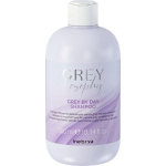 Inebrya GREYlosophy Grey By Day Shampoo tooniv &scaron;ampoon loomulikult hallidele/pleegitatud juustele, 300 ml