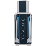Ferragamo Ferragamo Intense Leather EDP l&otilde;hnastatud vesi meestele, 50 ml
