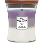 WoodWick Trilogy Amethyst Sky l&otilde;hnak&uuml;&uuml;nal l&otilde;hnak&uuml;&uuml;nal, 275 g