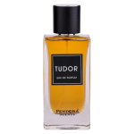 Pendora Scents Tudor EDP l&otilde;hnastatud vesi meestele, 100 ml