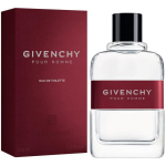 Givenchy Pour Homme EDT tualettvesi meestele, 100 ml