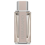 Salvatore Ferragamo Bright Leather EDT tualettvesi meestele, 100 ml